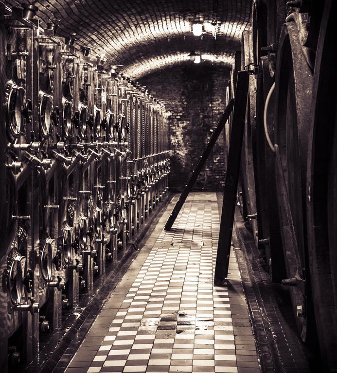 Penzion Vino Hruska Blatnička Extérieur photo